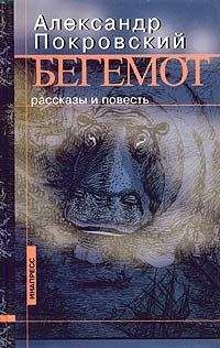 Александр Покровский - Метаболизм (сборник рассказов)