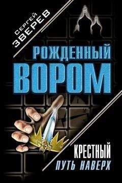 Сергей Зверев - Политика на крови