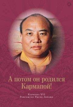 Рангджунг Ригпе Дордже Кармапа XVI - А потом он родился Кармапой!