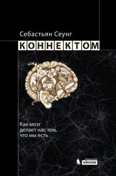 Себастьян Сеунг - Коннектом. Как мозг делает нас тем, что мы есть