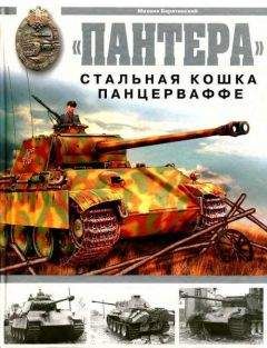 Михаил Барятинский - «ПАНТЕРА» СТАЛЬНАЯ КОШКА ПАНЦЕРВАФФЕ
