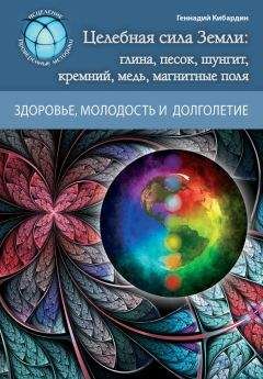Геннадий Кибардин - Целебная сила Земли: глина, песок, шунгит, кремний, медь, магнитные поля