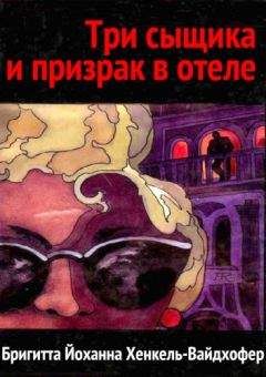 Бригитта Хенкель-Вайдхофер - Три сыщика и призрак в отеле