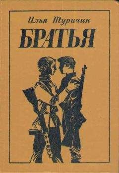 Илья Туричин - Братья