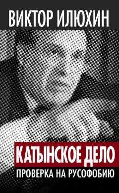 Виктор Илюхин - Виктор Илюхин «Катынское дело»: Проверка на русофобию