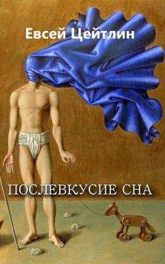 Евсей Цейтлин - Послевкусие сна (сборник)