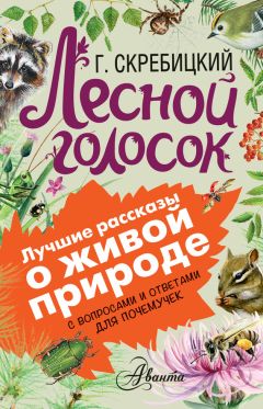 Георгий Скребицкий - Лесной голосок. С вопросами и ответами для почемучек