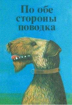 Бернгард Келлерман - Сэнг