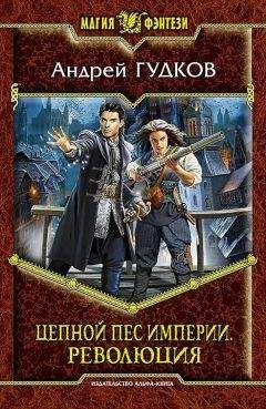 Андрей Гудков - Революция (СИ)