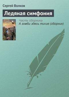 Сергей Волков - Ледяная симфония
